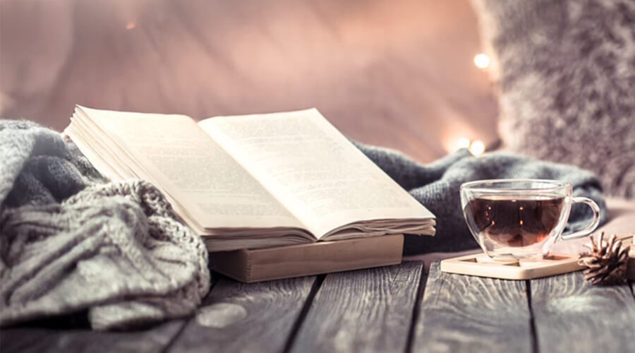 Praznična knjižna ponudba