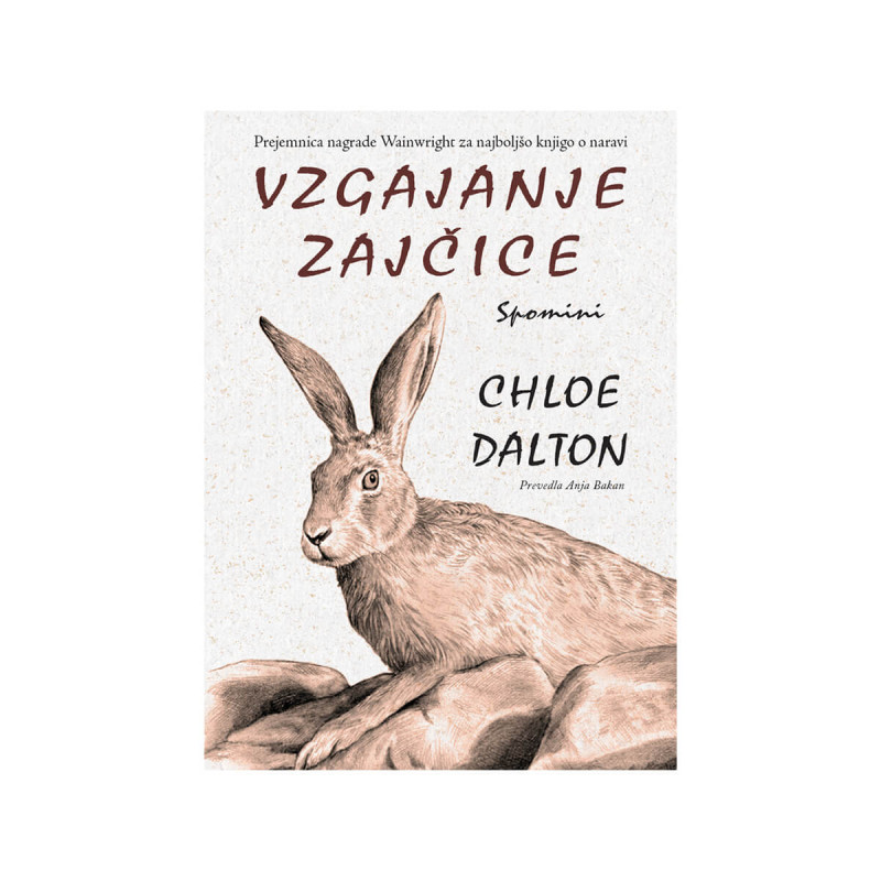 Vzgajanje zajčice