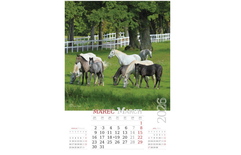 Stenski koledar Lepote Slovenije 2026, 33 x 54 cm