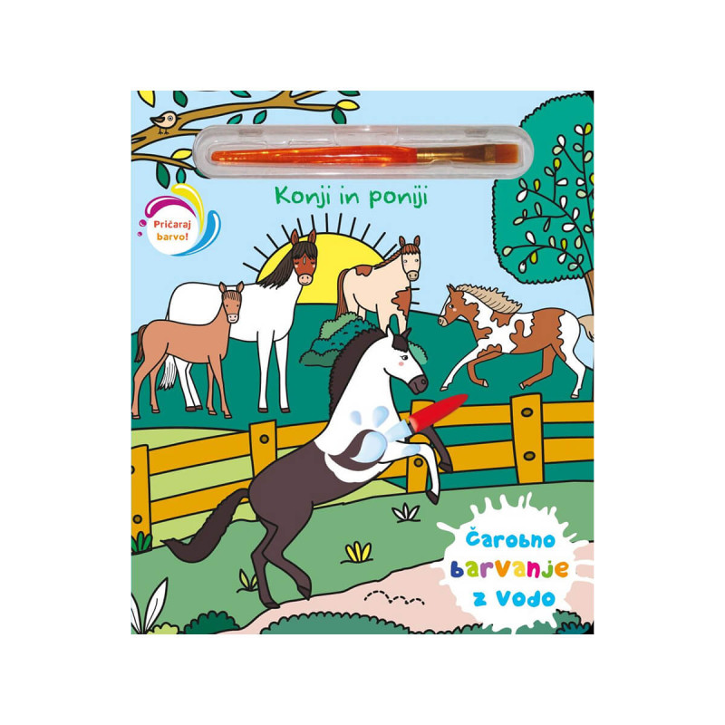 Konji in poniji, čarobno barvanje z vodo