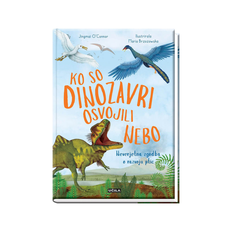 Ko so dinozavri osvojili nebo