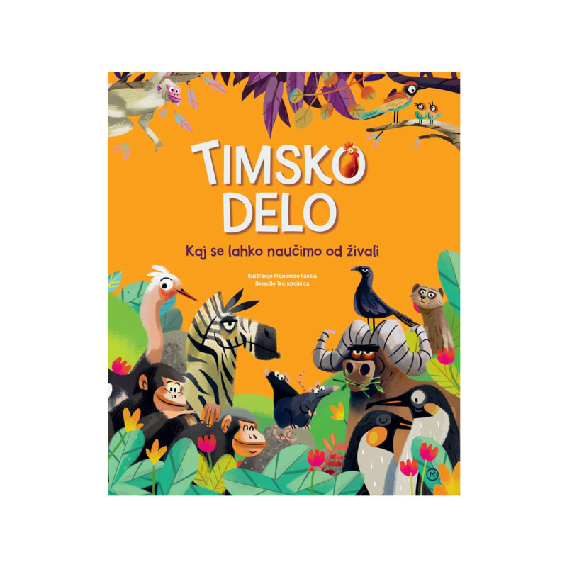 Timsko delo