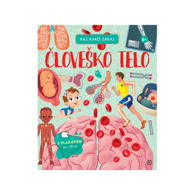 Človeško telo - Kaj, kako, zakaj
