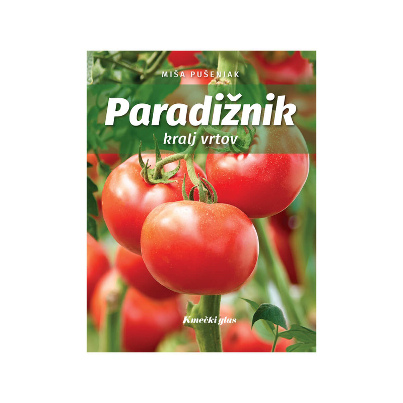 Paradižnik kralj vrtov