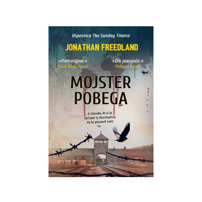 Mojster pobega
