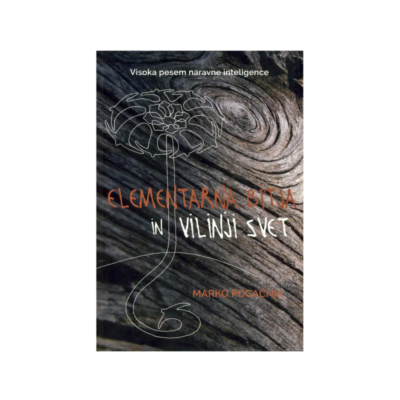 Elementarna bitja in vilinji svet - visoka pesem naravne inteligence