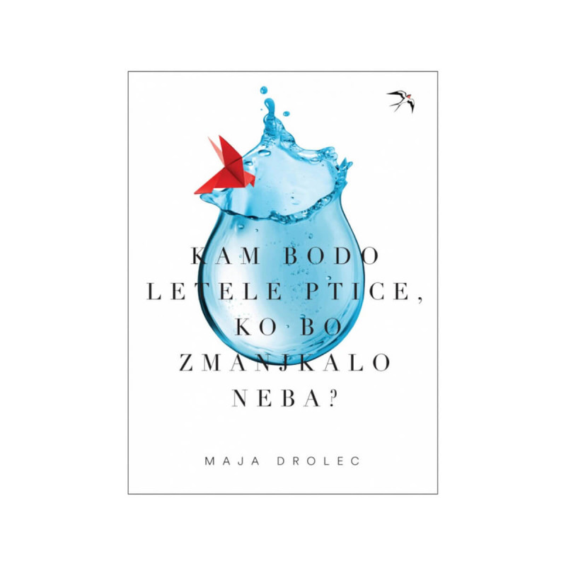 Kam bodo letele ptice, ko bo zmanjkalo neba?