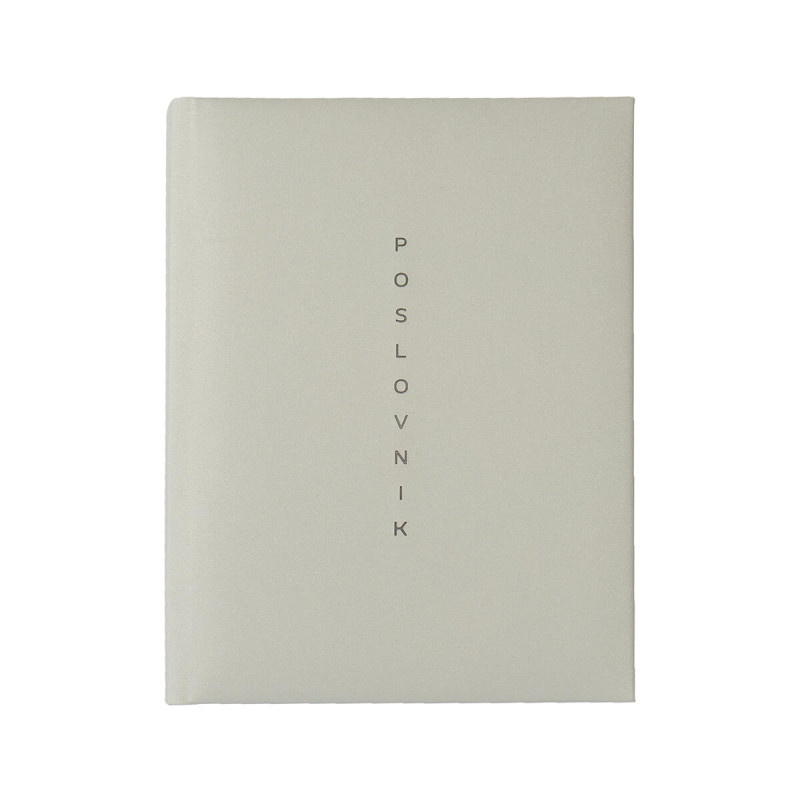 Poslovnik, SPARKLE, 20 x 26,9 cm, črte, 192 strani, 80g beli papir, srebrn, 2027