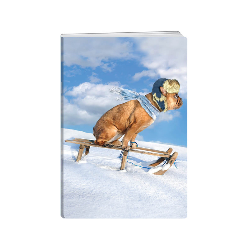 Zvezek A4, 52 listni, karo 1cm, Funny animals, New Design