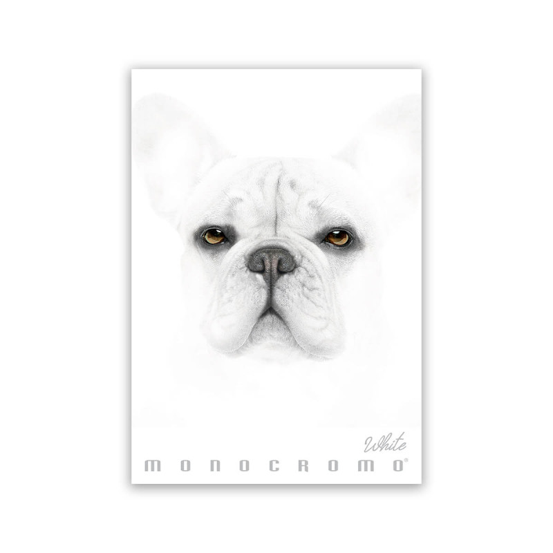 Zvezek A4 38 listni, 100g, črtan, Pigna, Monocrome White