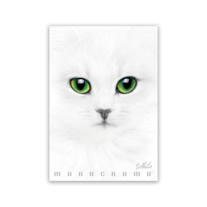 Zvezek A4 38 listni, 100g, črtan, Pigna, Monocrome White