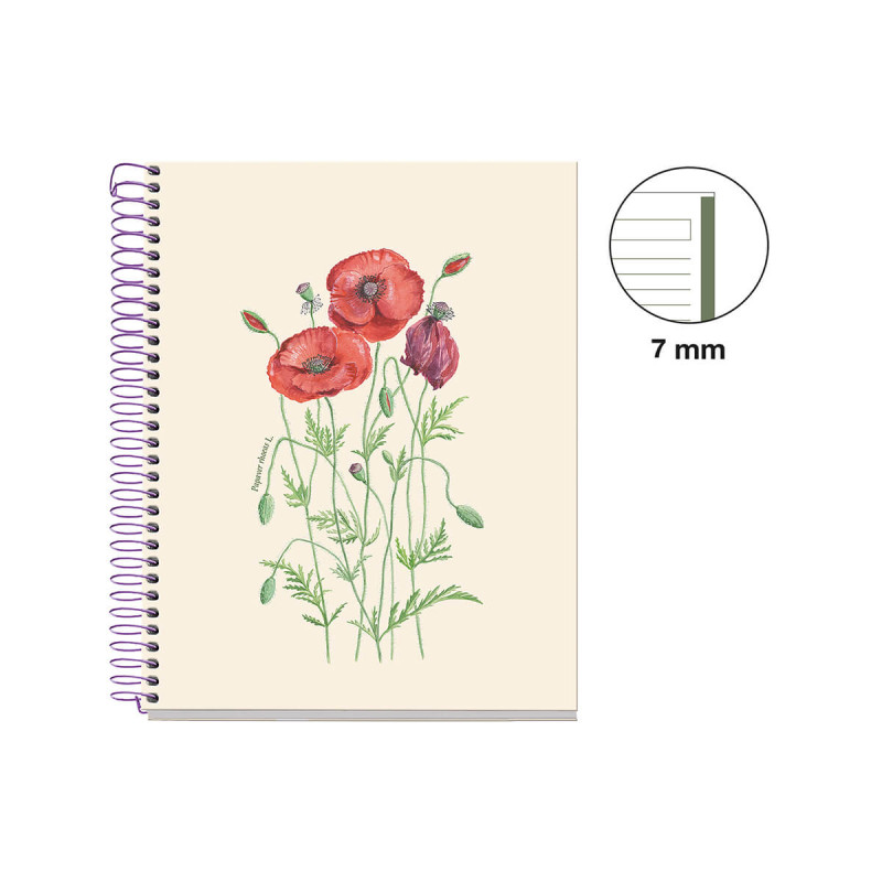 Špiralni zvezek, Miquelrius, A5, 80-listn, črtan, Papaver Rhoeas