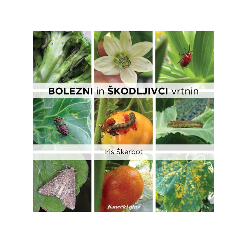Bolezni in škodljivci vrtnin