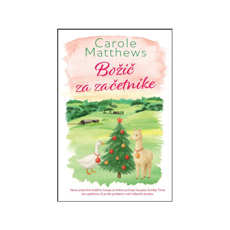 Božič za začetnike-broširana