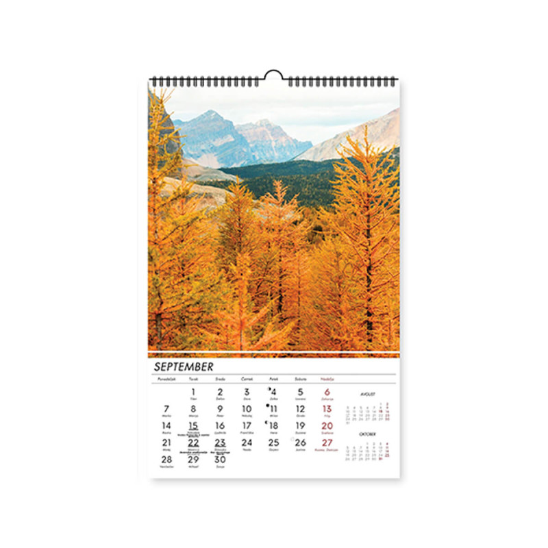 Stenski koledar, Gozdni zakladi, 2026, 201256, 33 x 54