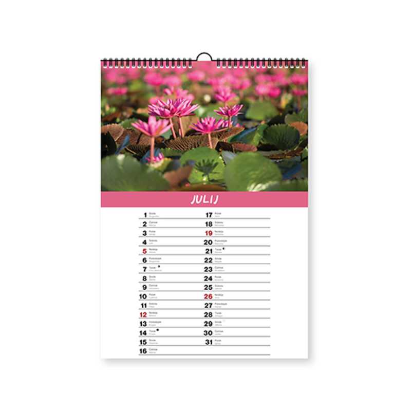 Stenski koledar, Zen, 2026, 201279, 23 x 38