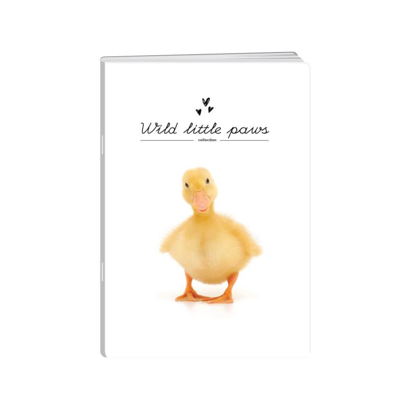 Zvezek, New Design, A5, 52-listni, črtani, Kids 3
