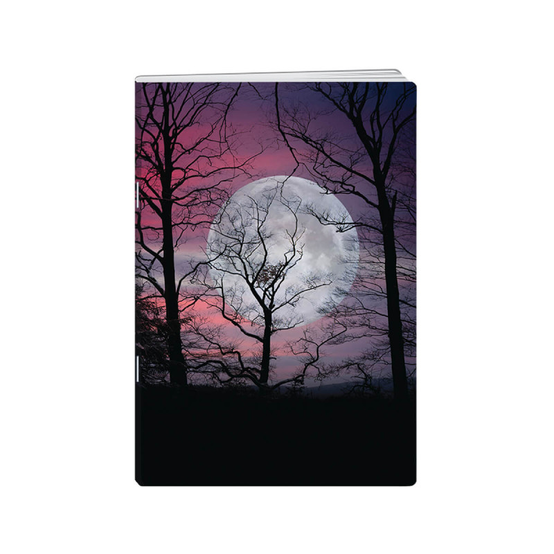 Zvezek A4, 52 listni, karo 5mm, Sky, New Design, 