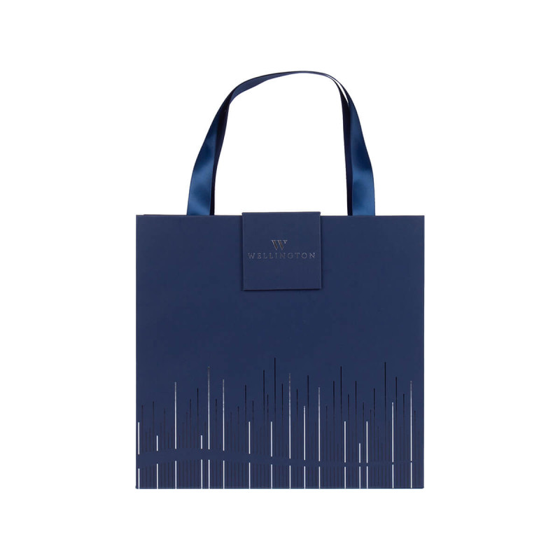 Pisalni set Oxford, vsebuje notesnik A5 in Wellington kemični svinčnik, v darilnem pakiranju, moder.