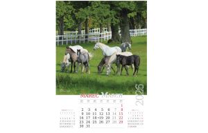 Stenski koledar Lepote Slovenije 2026, 33 x 54 cm