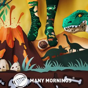 Visoke nogavice Many mornings, THE DINOSAURS, 43-46