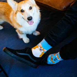 Visoke nogavice Many mornings, PLAYFUL DOG, 39-42