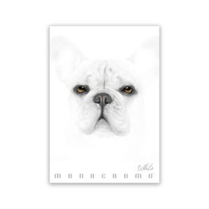 Zvezek A4 38 listni, 100g, črtan, Pigna, Monocrome White