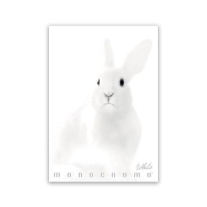 Zvezek A4 38 listni, 100g, črtan, Pigna, Monocrome White