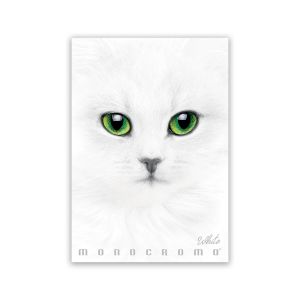 Zvezek A4 38 listni, 100g, črtan, Pigna, Monocrome White