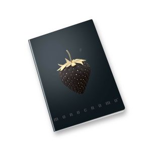 Zvezek A4 38 listni, 100g, črtan, Pigna, Monocrome Gold