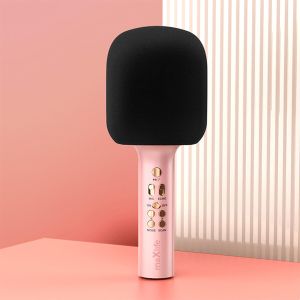 Mikrofon z Blutooth zvočnikom 5.0, funkcija karaoke, modelator zvoka, eko efekt, doseg 10m, roza.