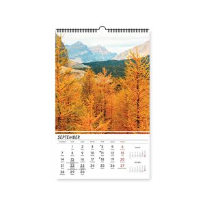 Stenski koledar, Gozdni zakladi, 2026, 201256, 33 x 54