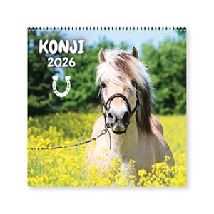 Stenski koledar, Konji, 2026, 201220, 30 x 36/66