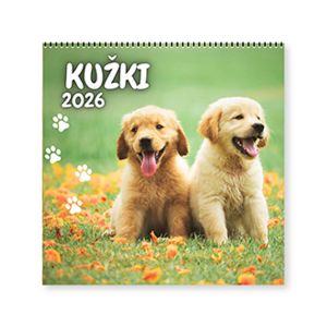 Stenski koledar, Kužki, 2026, 201210, 30 x 36/66