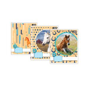 Zvezek, TakoLahko R2, B5, 40-listni, karo 1 cm