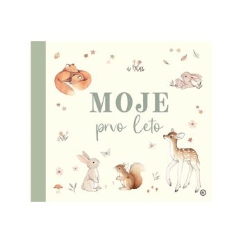 Moje prvo leto