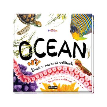 Ocean - živali v naravni velikosti