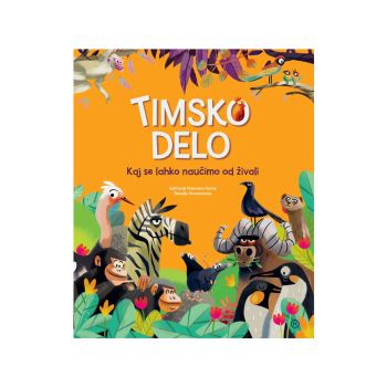 Timsko delo