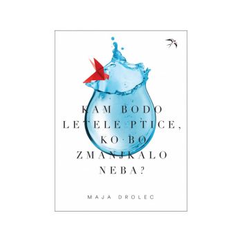 Kam bodo letele ptice, ko bo zmanjkalo neba?