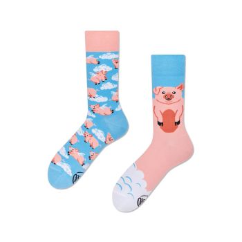 Visoke nogavice Many mornings, PIGGY DREAM, 43-46