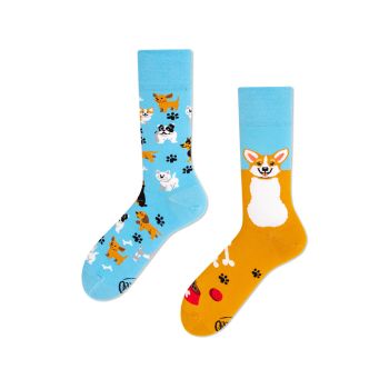 Visoke nogavice Many mornings, PLAYFUL DOG, 39-42