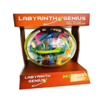Igra Labyrinth Genius, 299 korakov