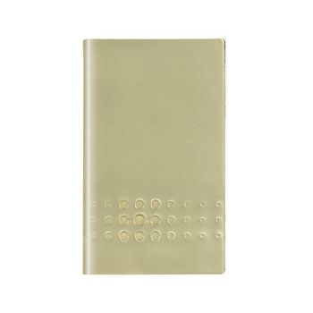 Planer, ASC Gold, šolski, 2023/2024