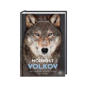 Modrost volkov