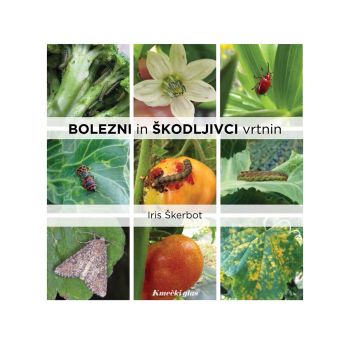Bolezni in škodljivci vrtnin