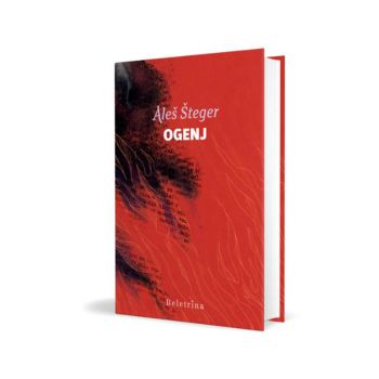 Ogenj-roman po motivih iz življenja Štefke Cobelj