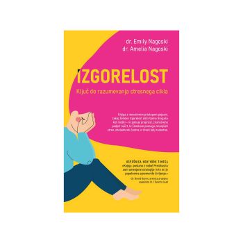 Izgorelost, Ključ do razumevanja stresnega cikla