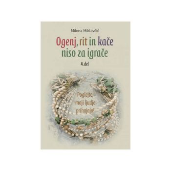 Ogenj, rit in kače niso za igrače, 4. del